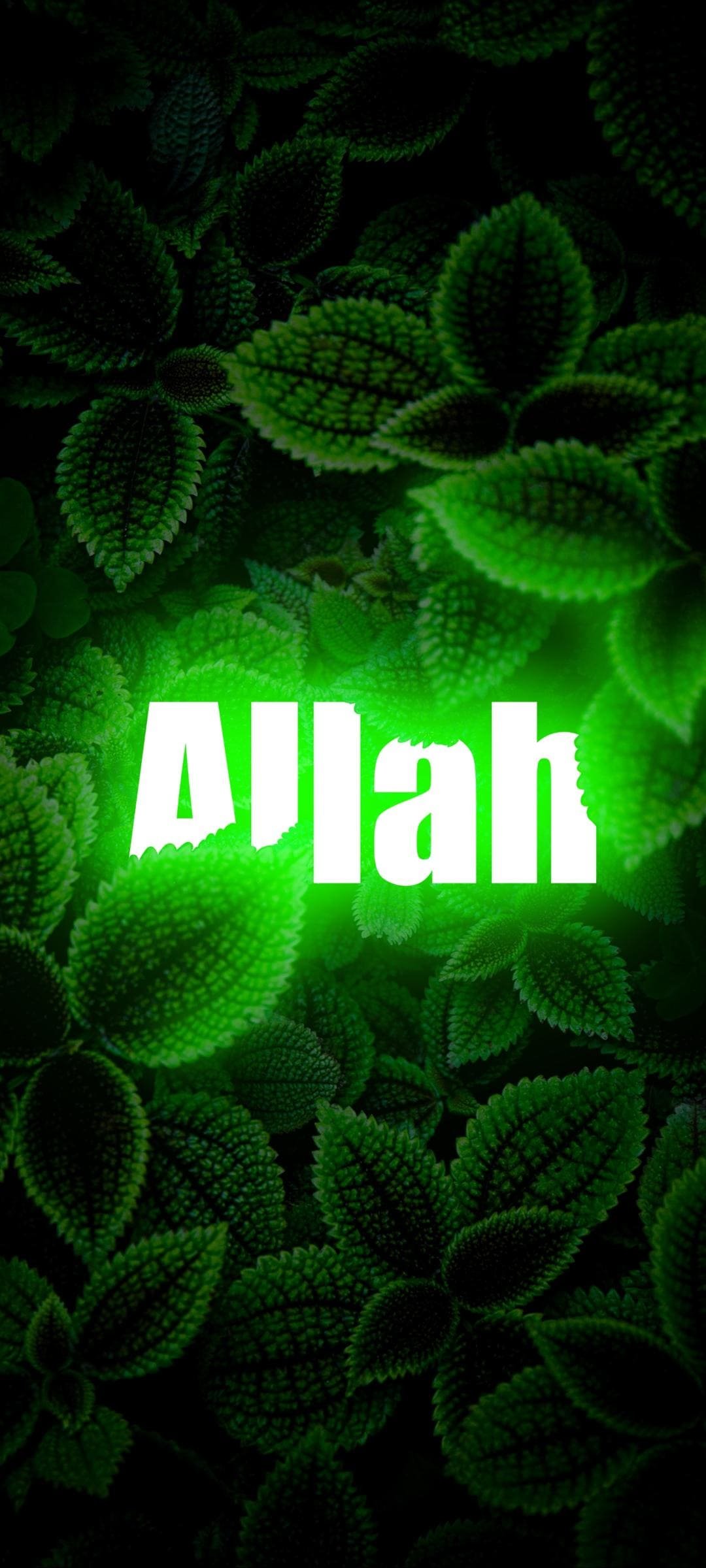 Allah - Shine Effect | Leaves Background