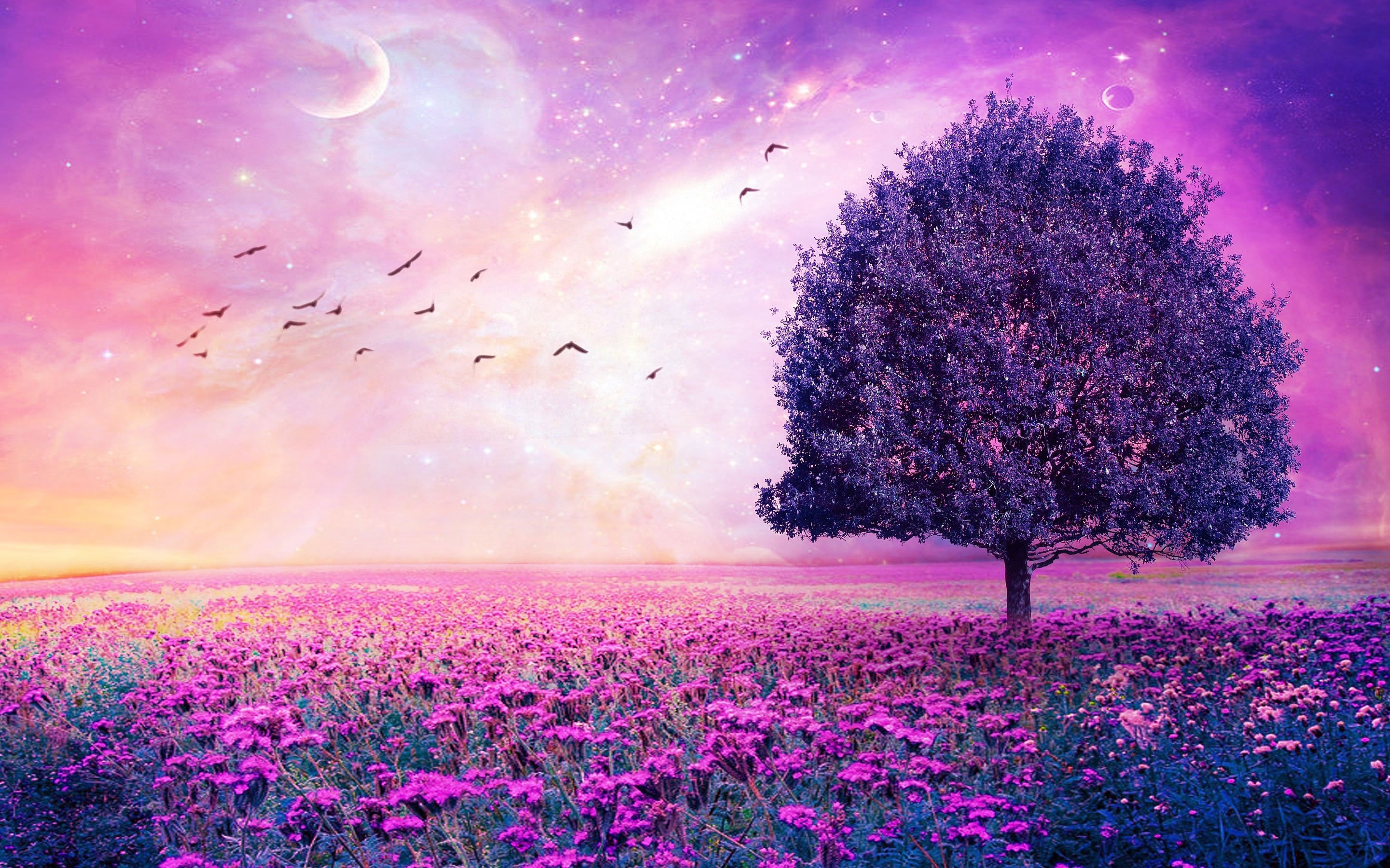 Purple Flowers - Purple - Forest
