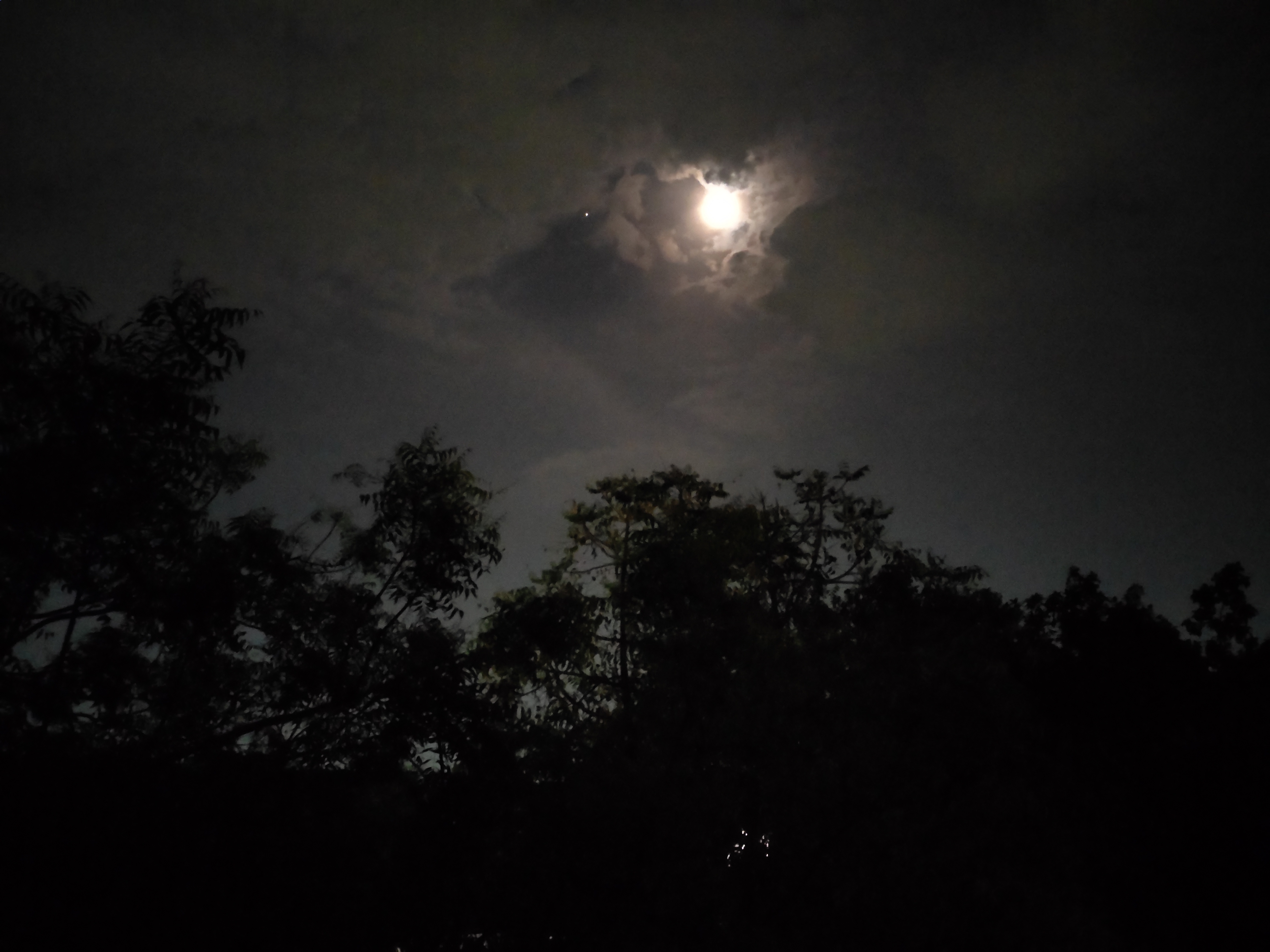 Moon Night In Nature View