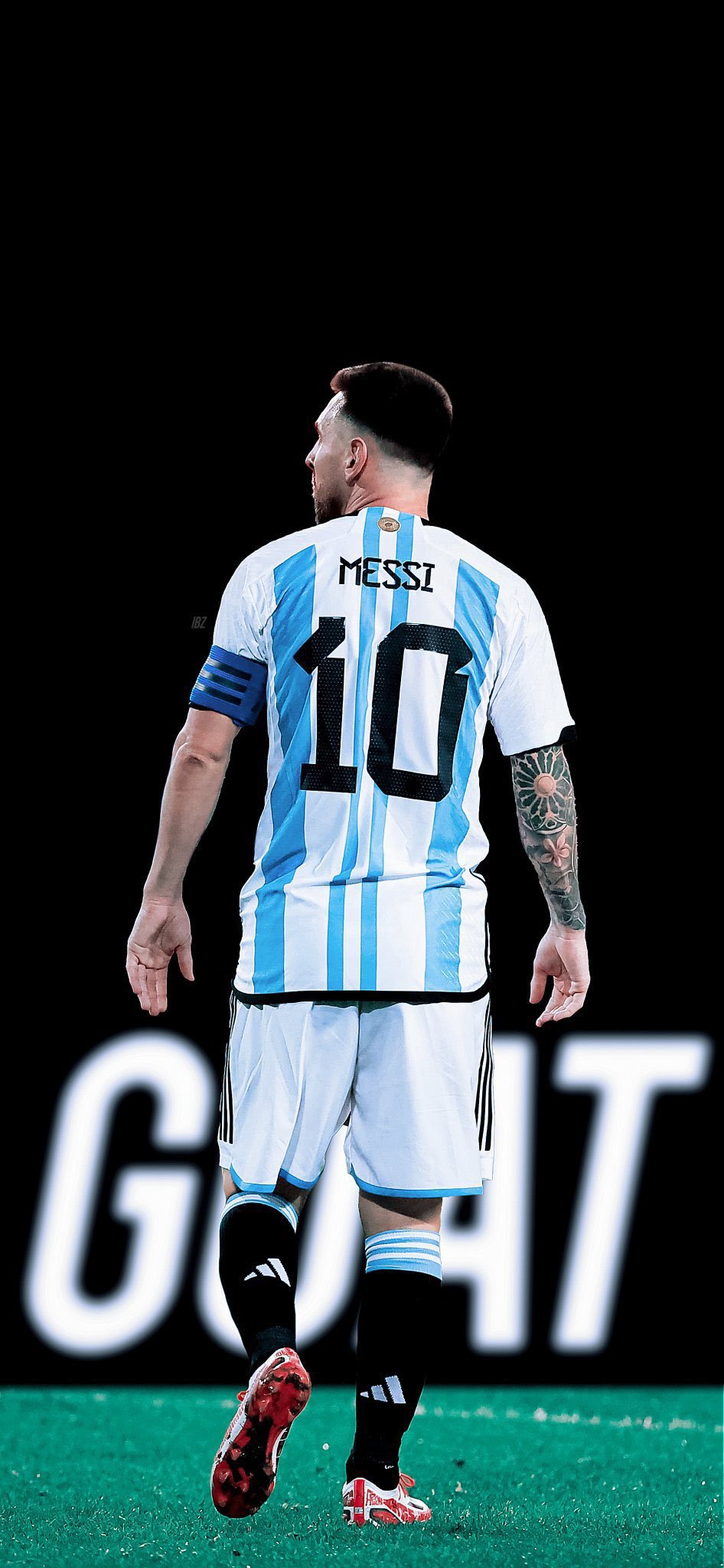 Lionel Messi In Argentina Jersey