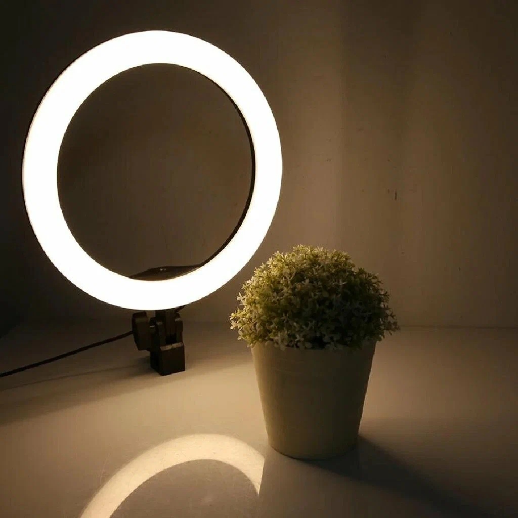 Ring Light - flower shoot