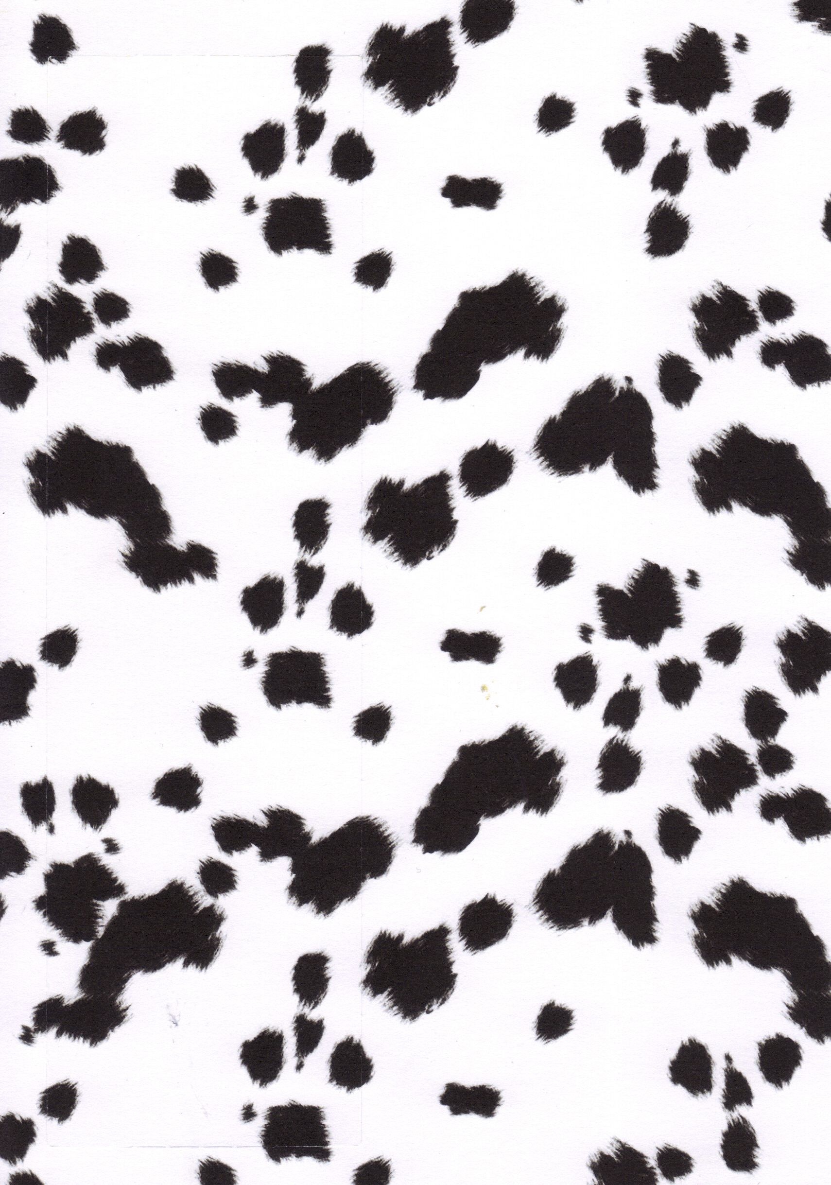 Cow Print | White ablack Aesthetic