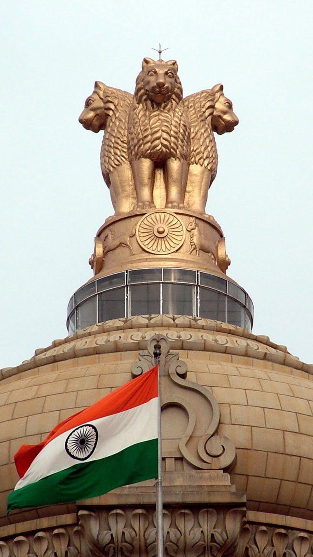 Pillars of Ashoka - Indian Flag