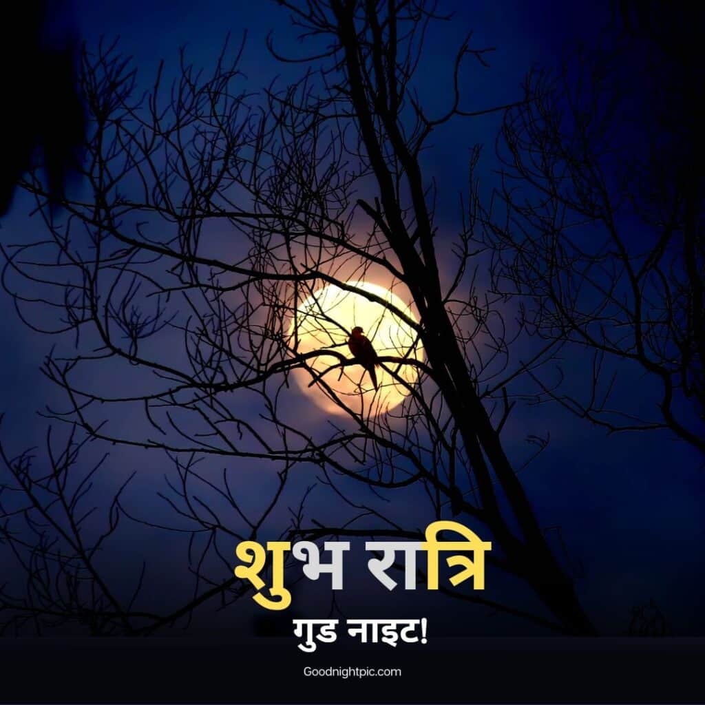 Good Night Hindi - good night