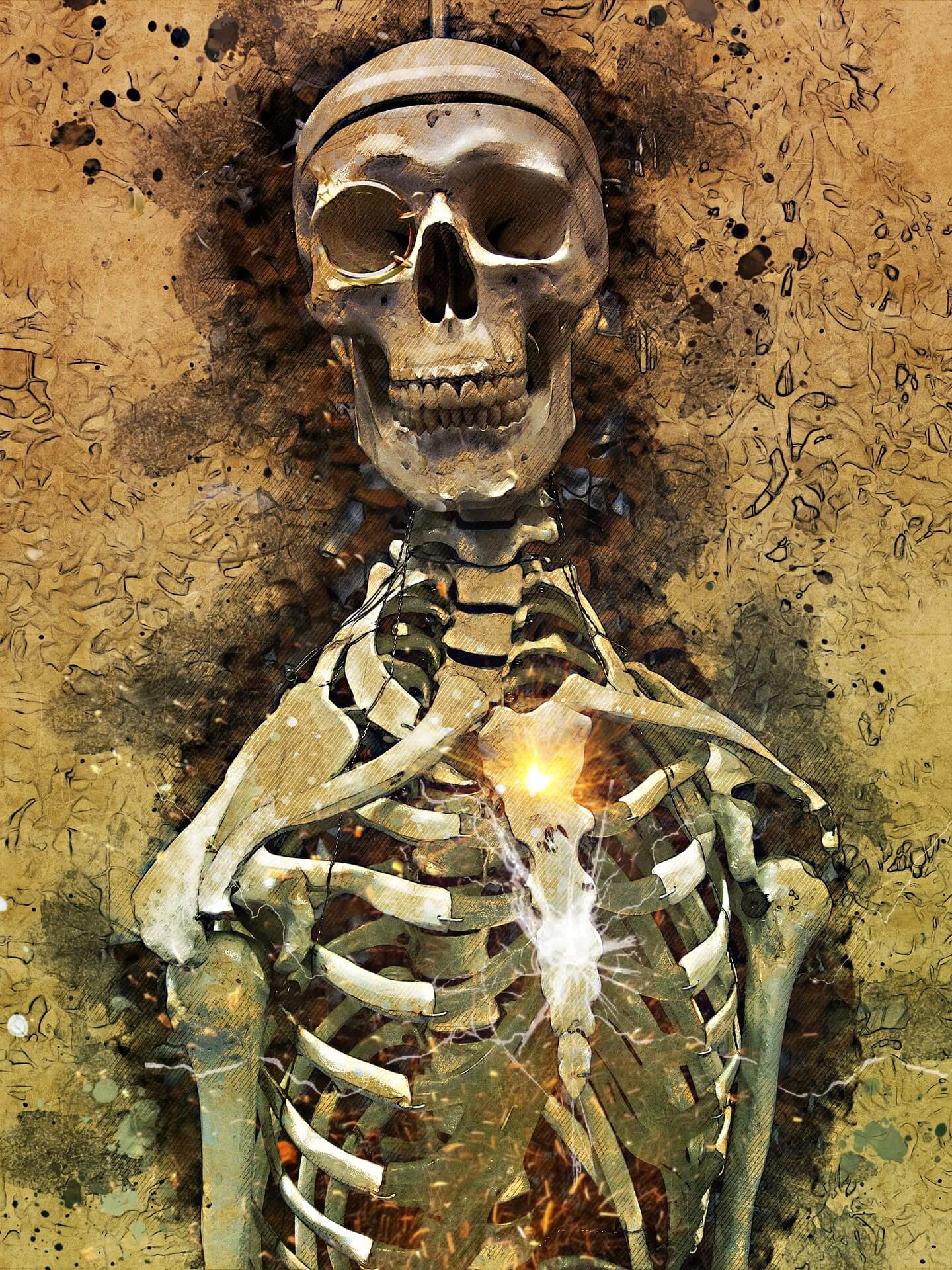 Skeleton | Human Skeleton