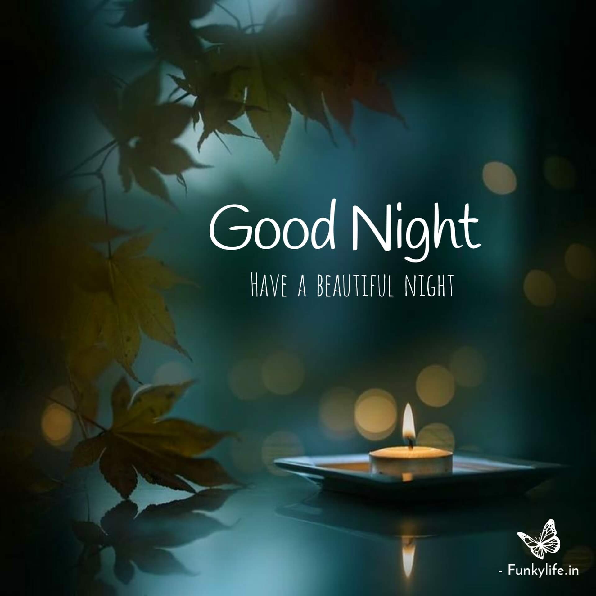 Good Night - Wishes