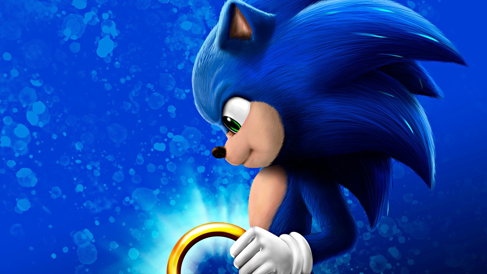 Sonic - Sonic Video Game