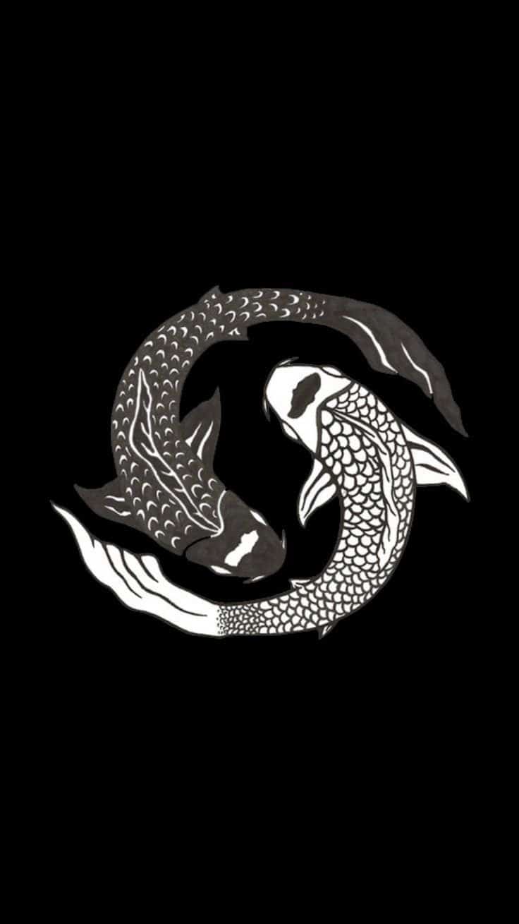 Ying Yang Koi Fish