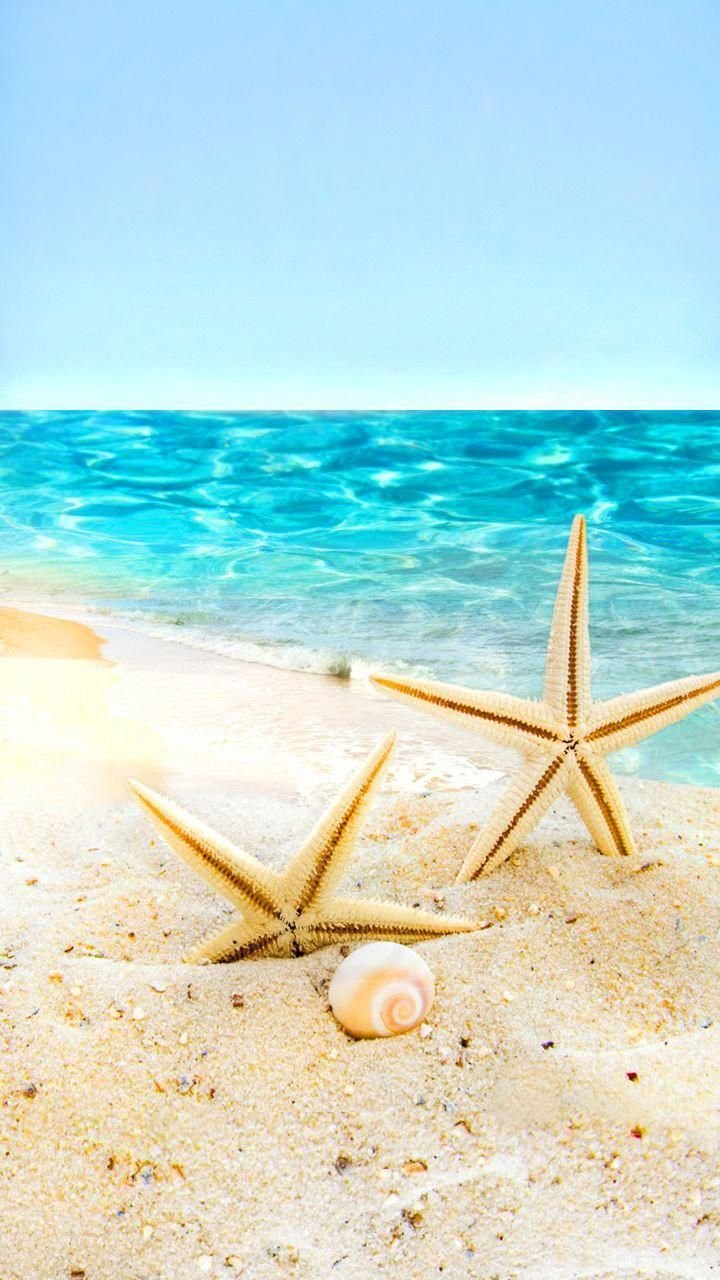 White Sand Beach And Starfish