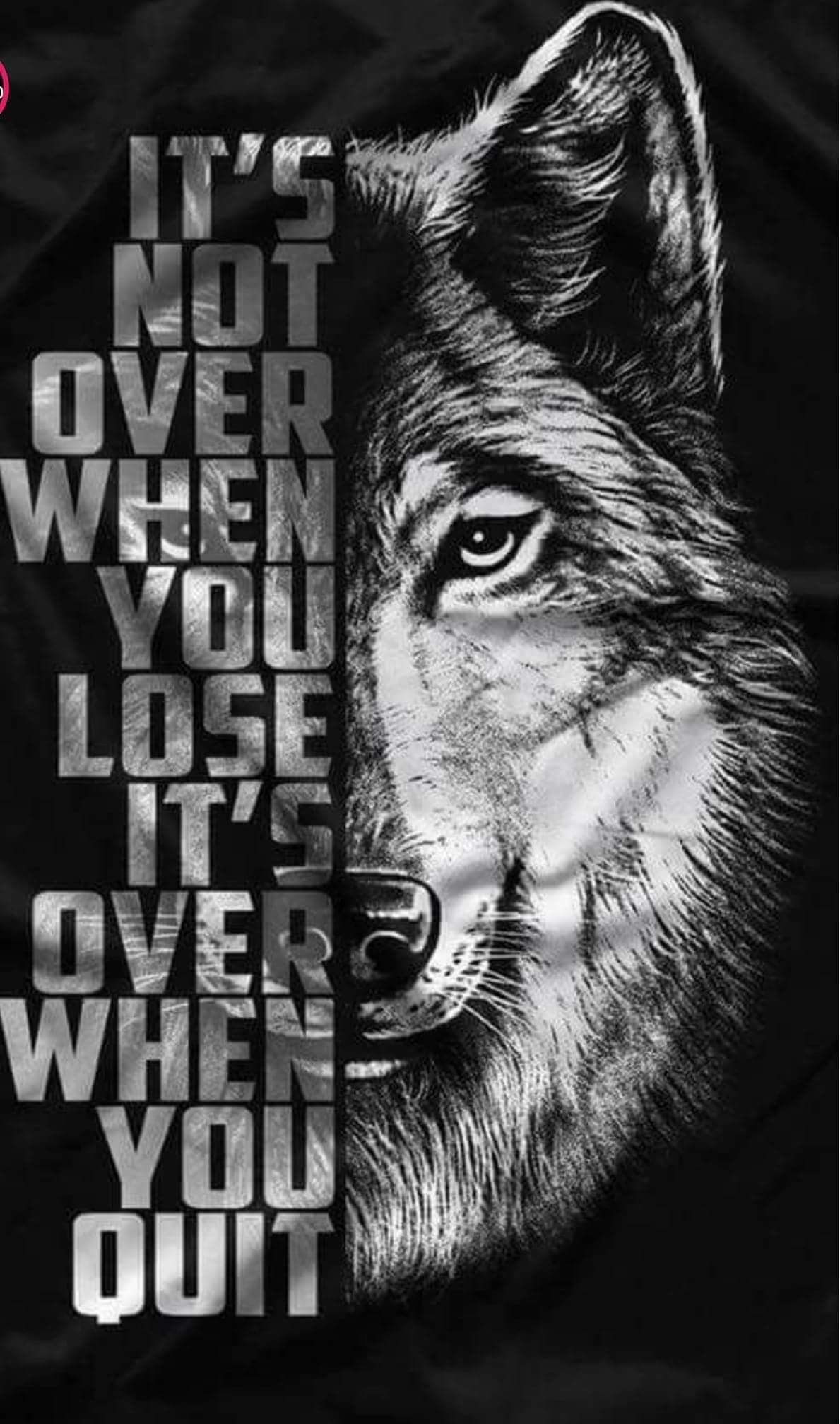 Its Not Over When You Lose Its Over When You Quit - Wolf Background