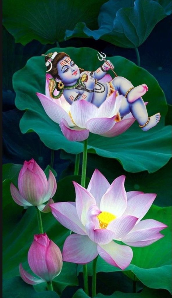 Baby Lord Shiva Sleeping On Lotus