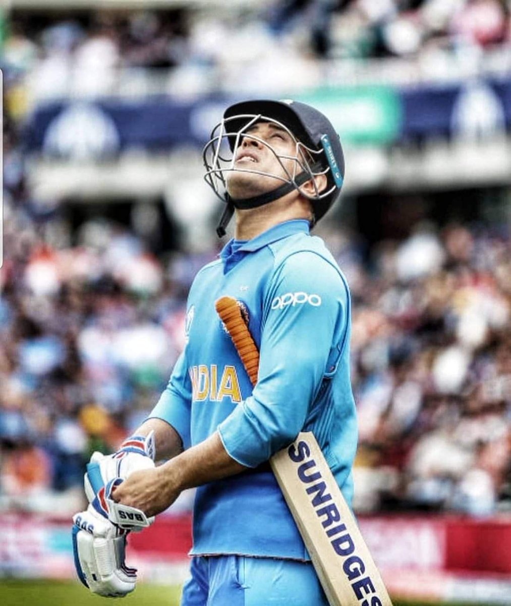 Dhoni Picture Pays Tribute