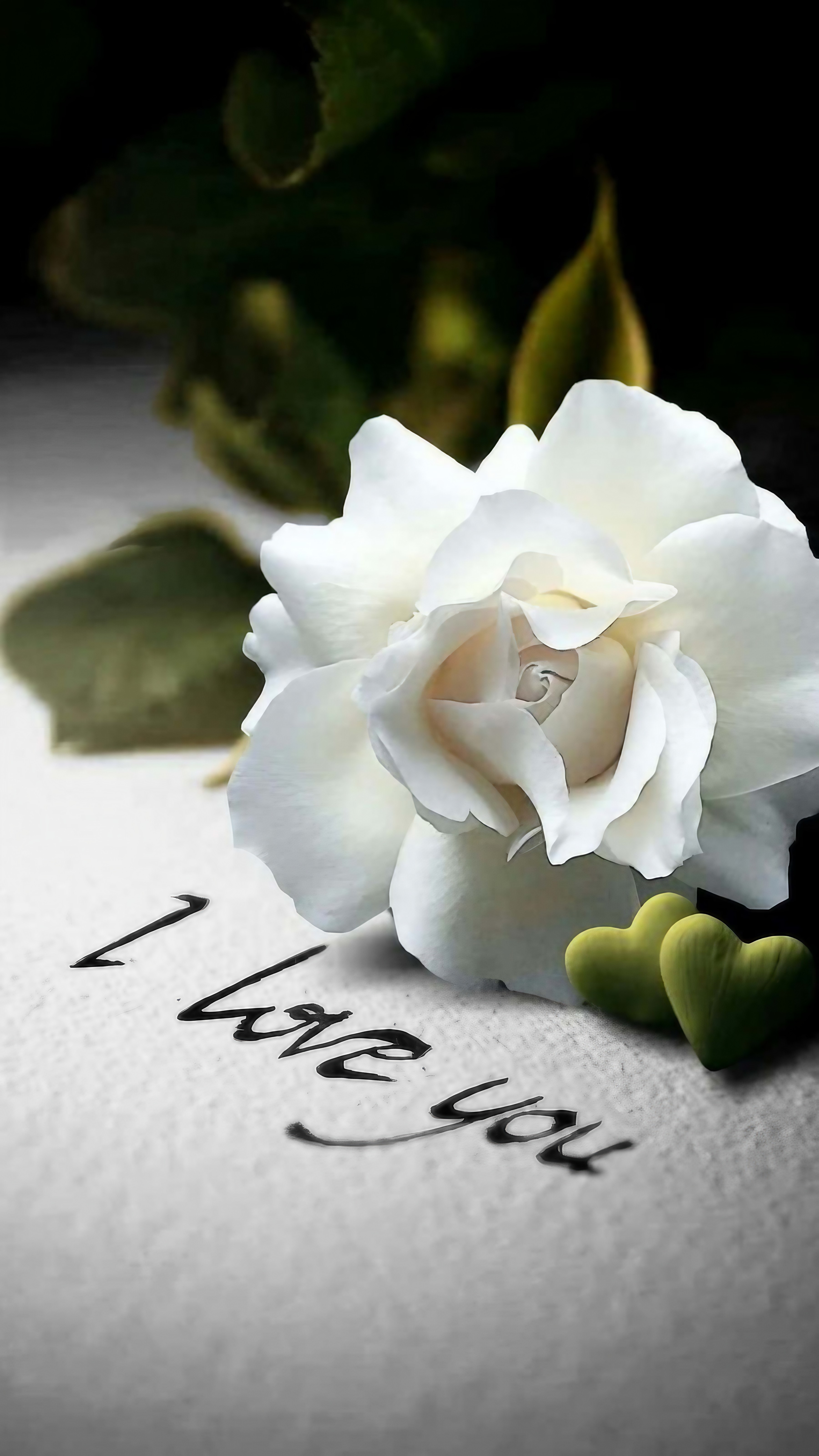 I Love You I Love You - White Roses
