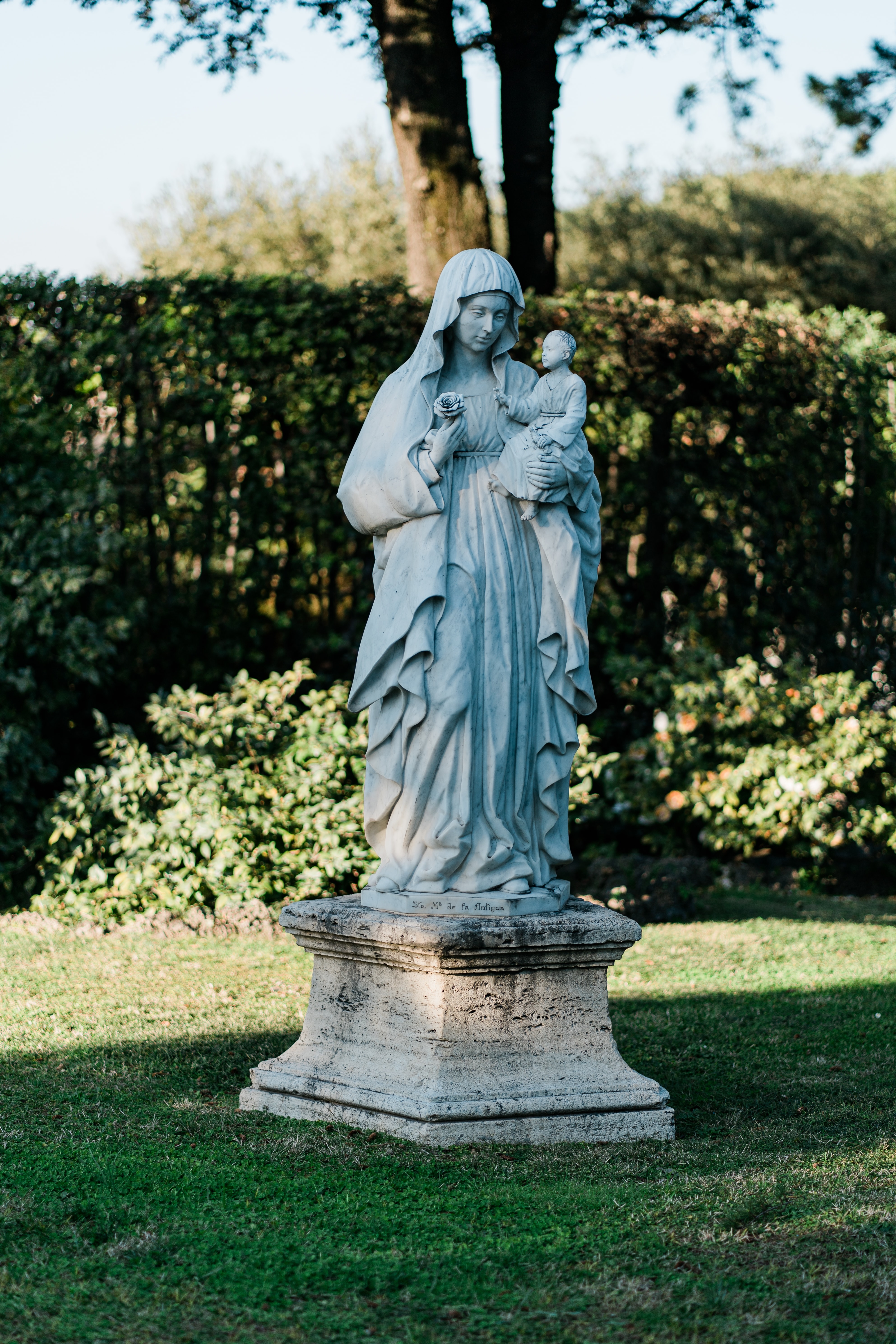 Mother Mary Photos With Trees Background