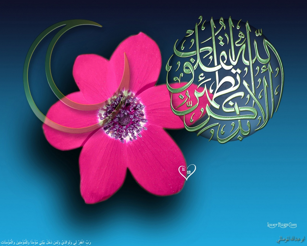 Masha Allah - Pink Flower - Background