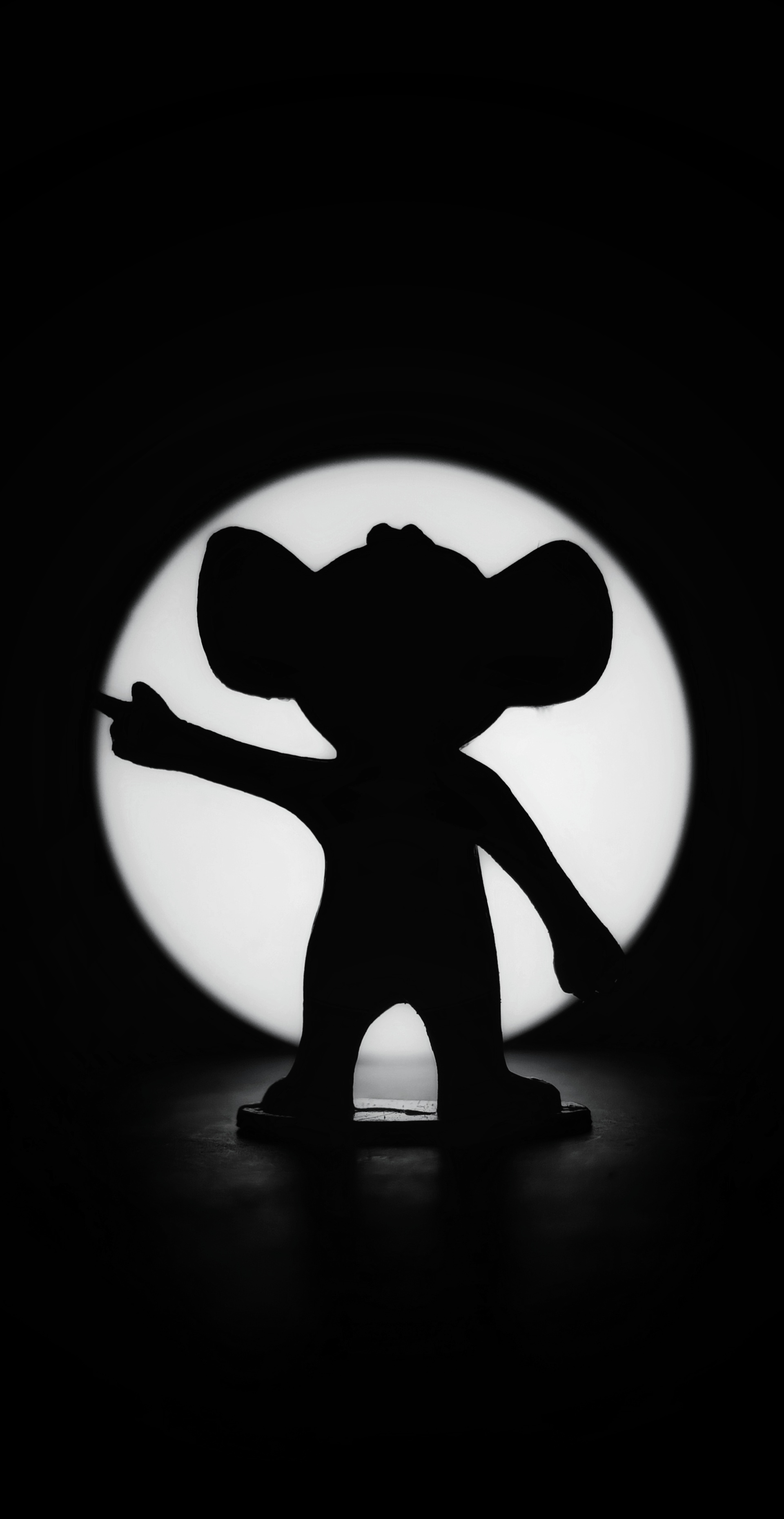 Tom And Jerry Photo.shadow.jerry