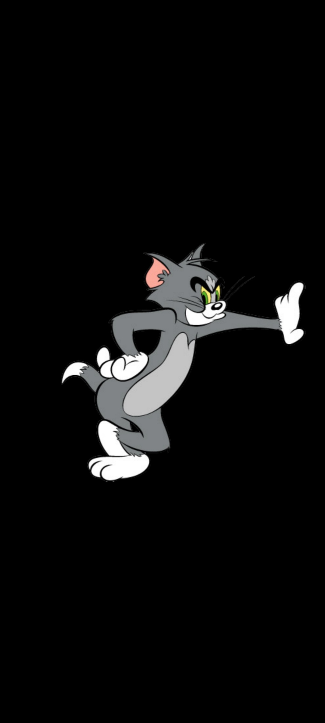 Tom And Jerry Photo.black.tom