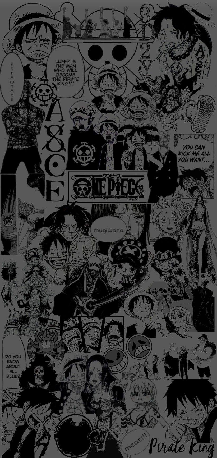 Aesthetic One Piece Manga