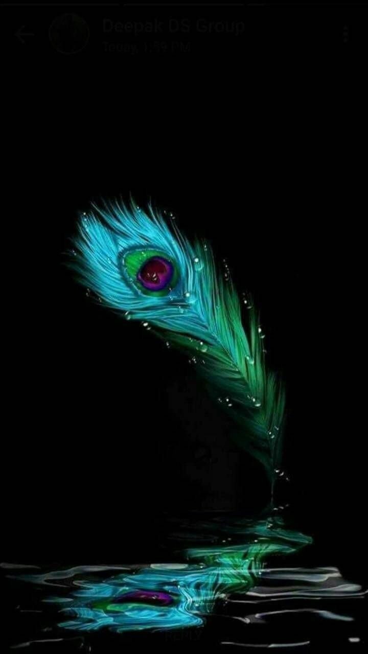 Krishna - Peacock Feather