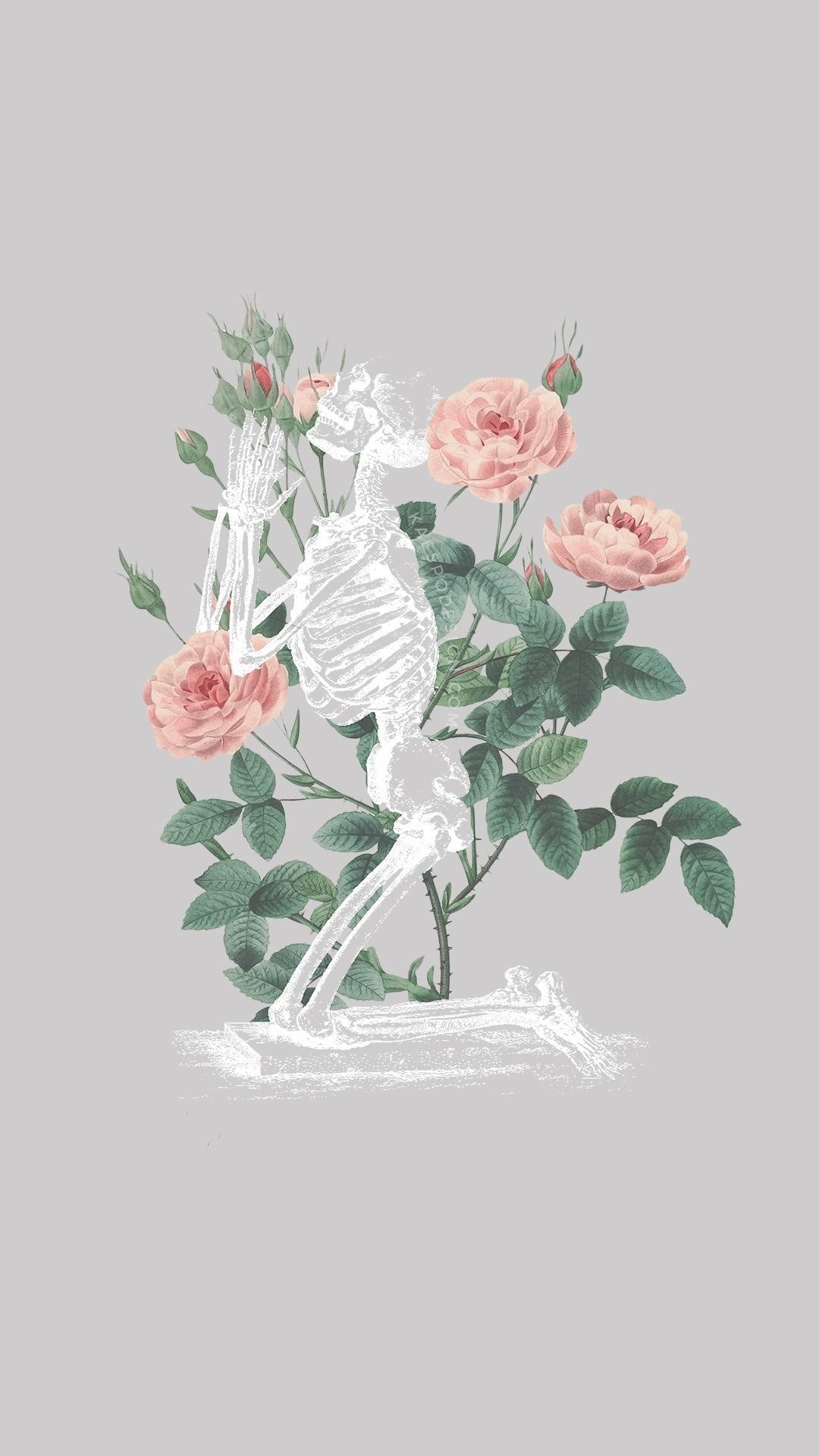 Skeleton With Flower - Aesthetic