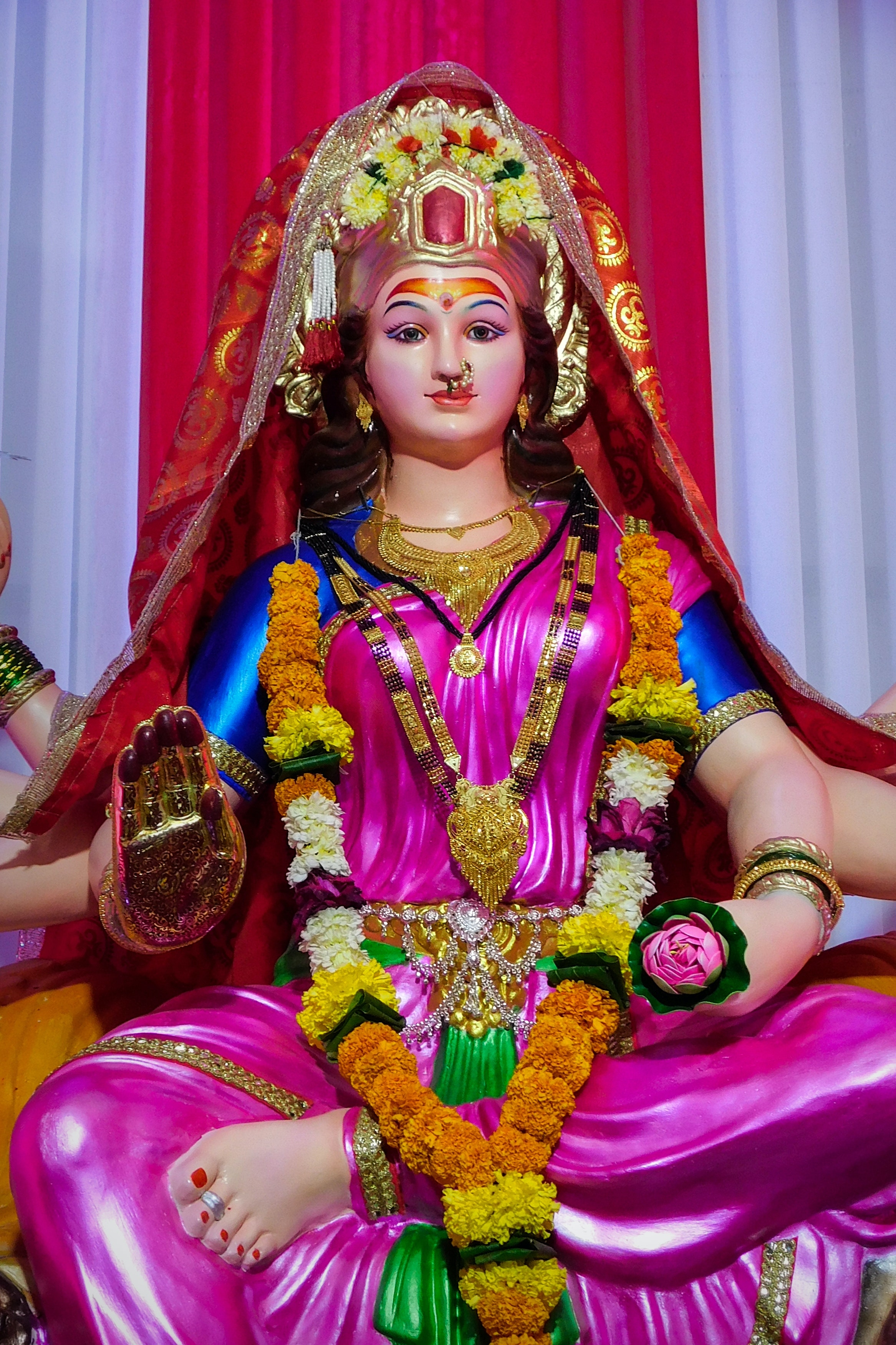 Durga Maa Ka - Pink Saree