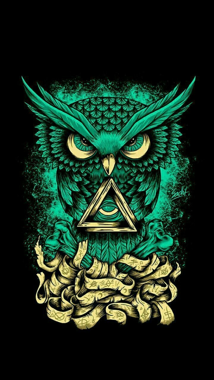 Aesthetic Owl Artwork