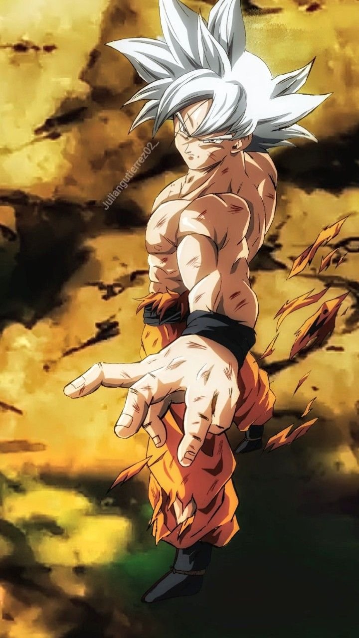Anime Goku Mui