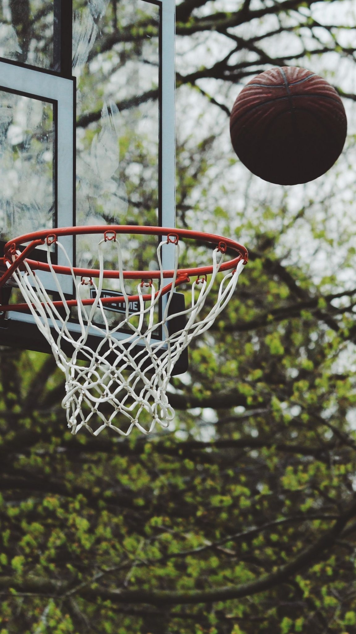 Basketball | Basketball Poll