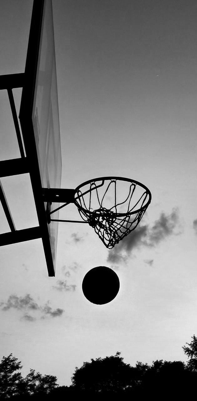 Black And White Of Old Basketball