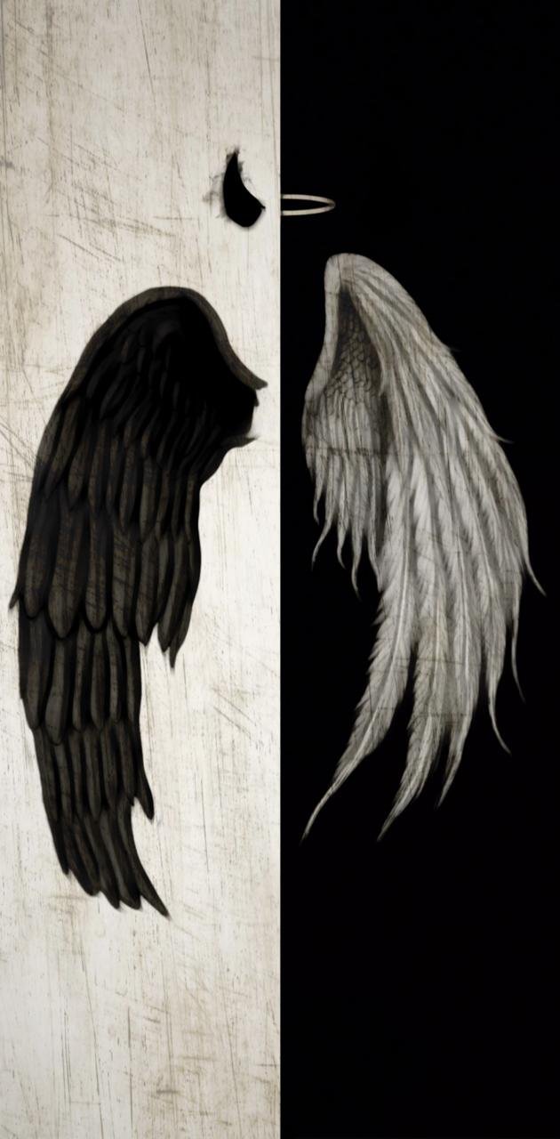 Devil And Angel Wings