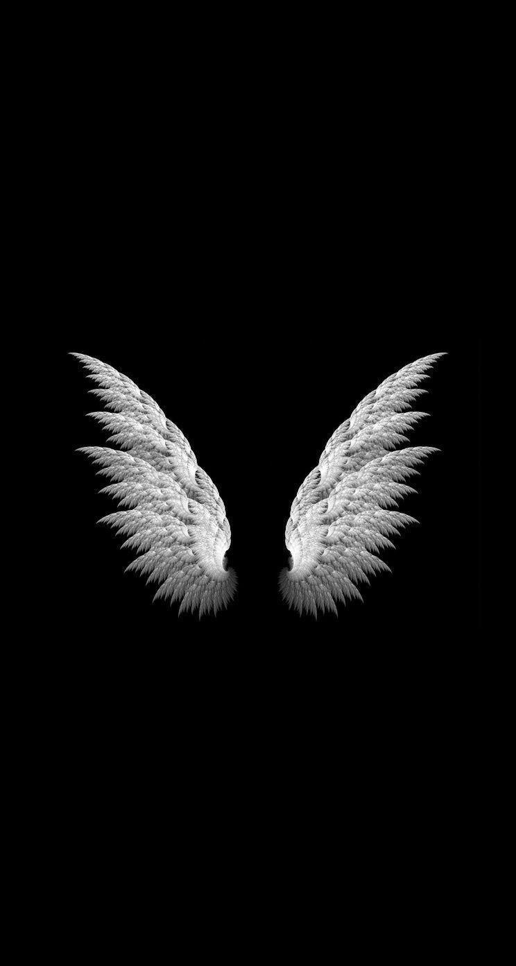 Angel Wings - Black Background