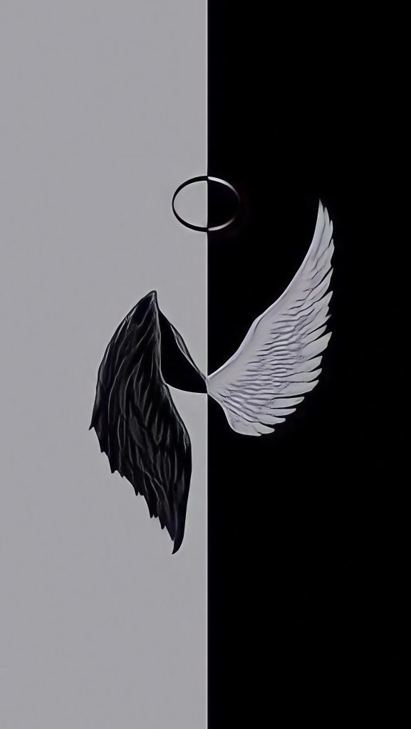 Black And White Aesthetic - Angel And Devil Wings