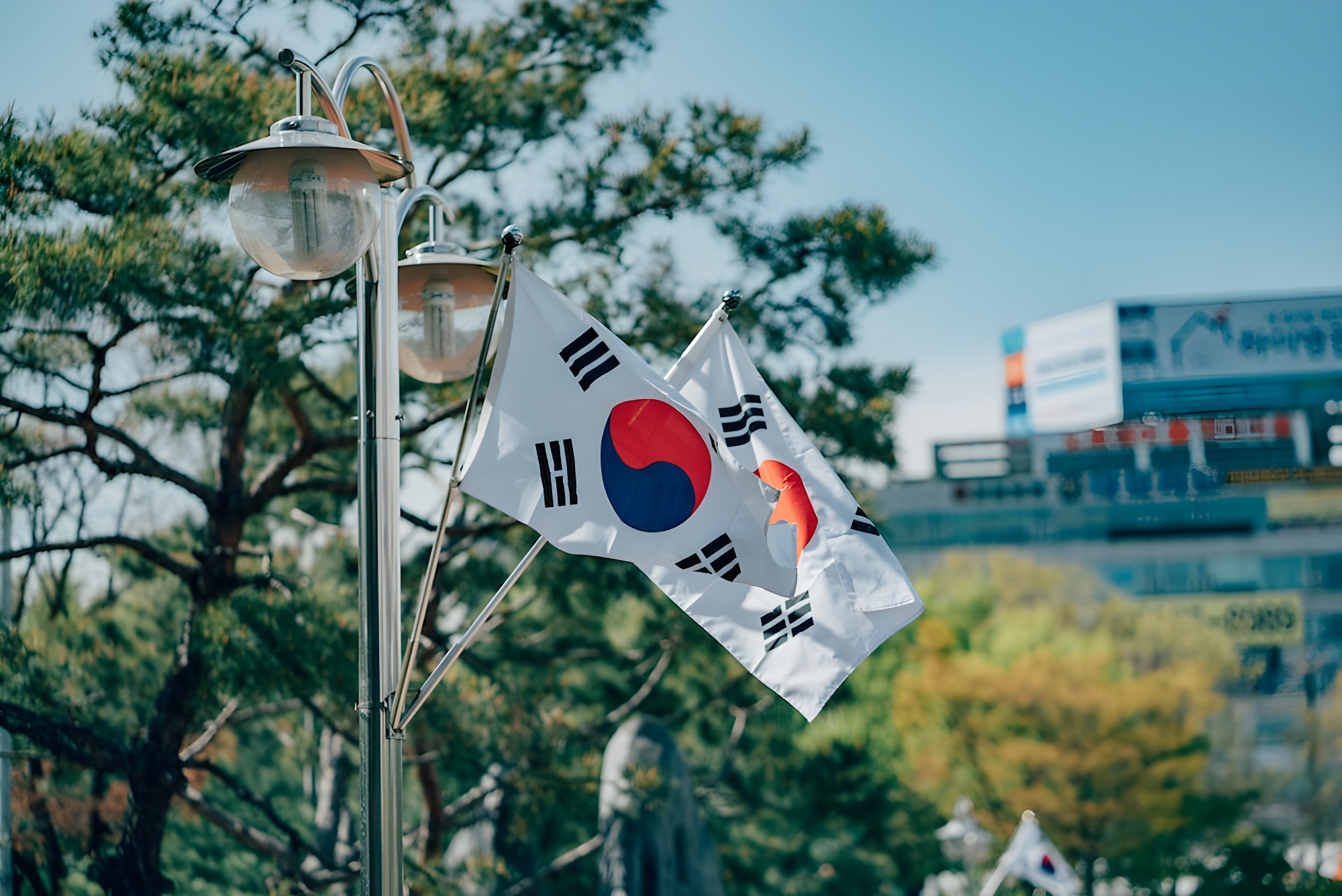 Korean Flag - national flag