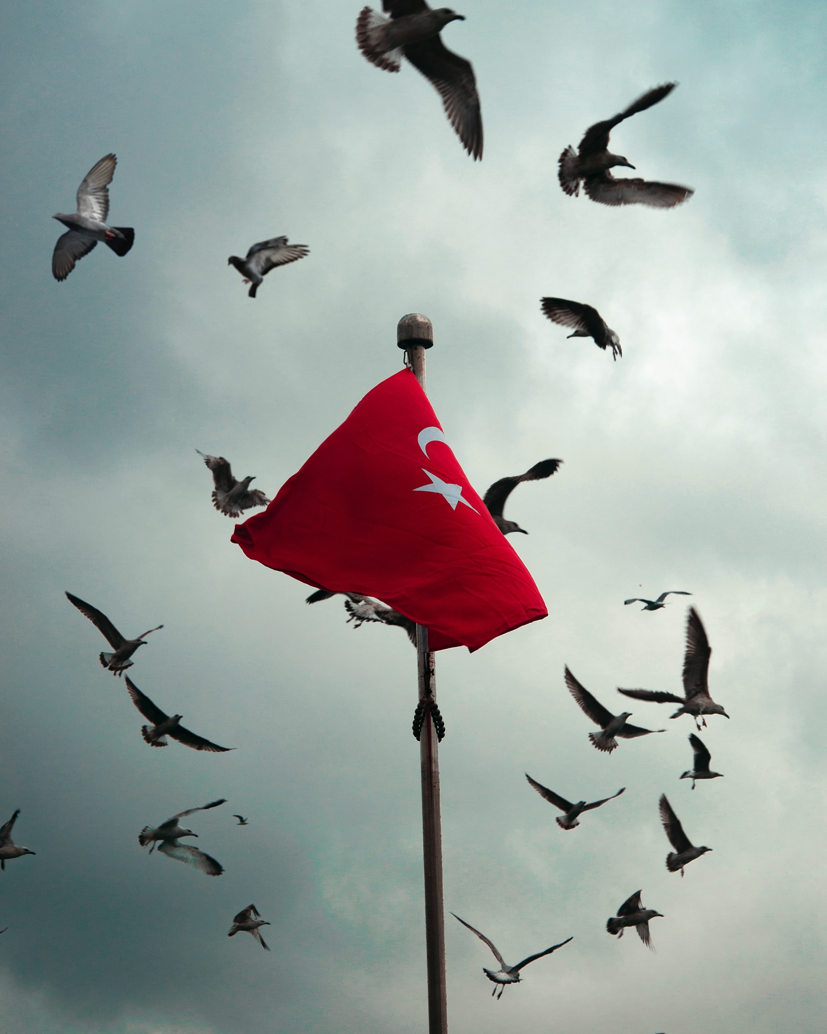 National Flag - Flag Turkey