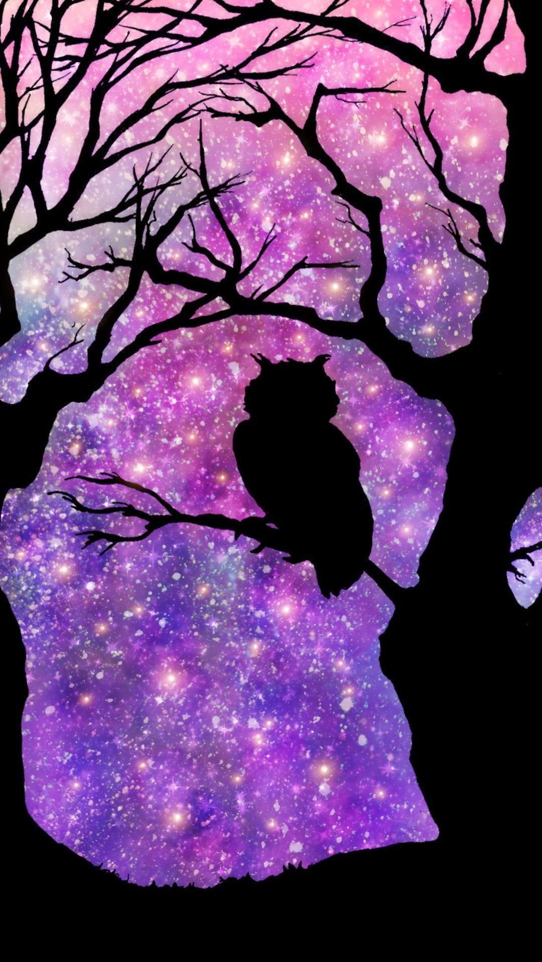Galaxy night sky owl