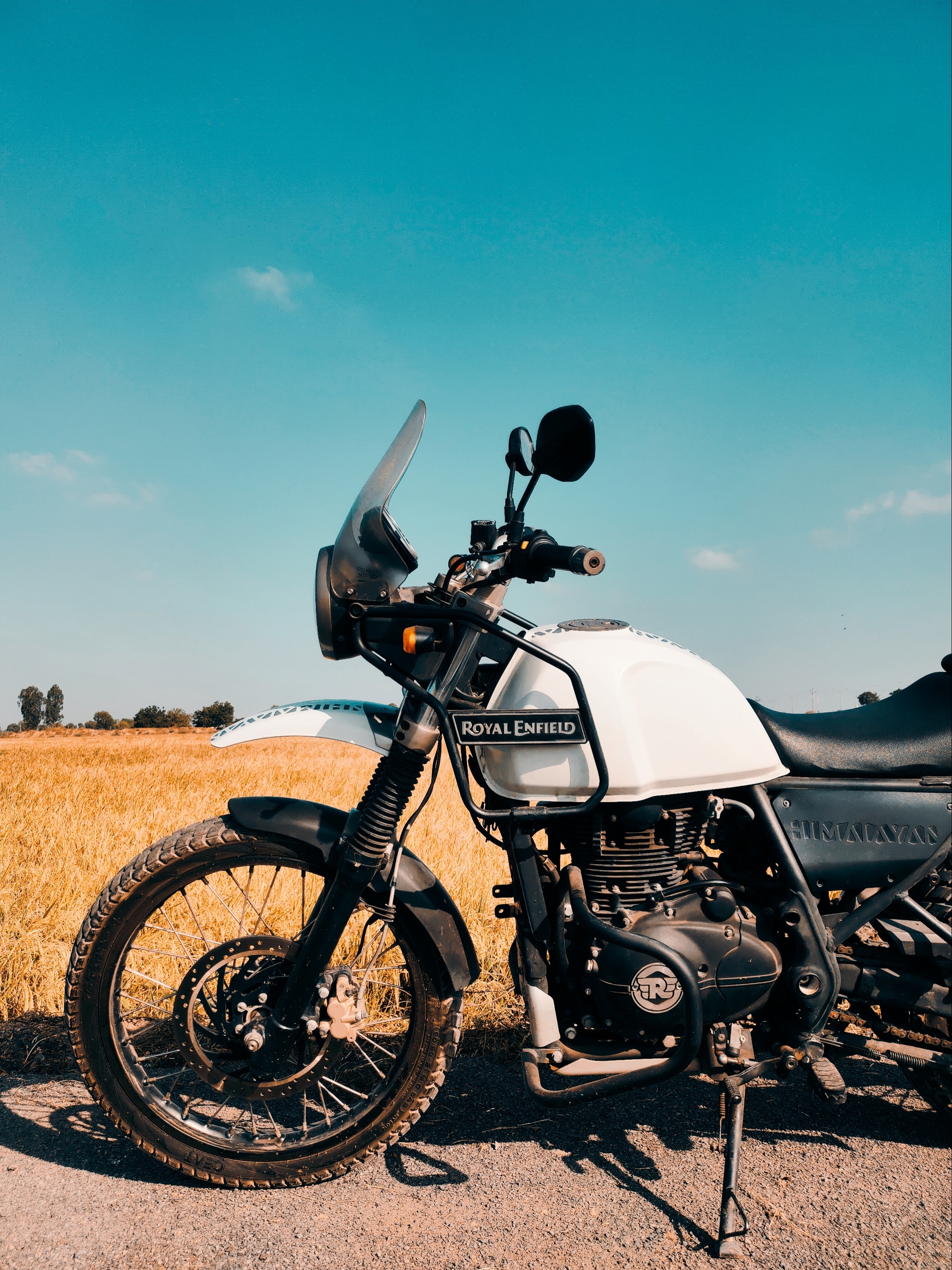 Royal Enfield Live - White Himalayan - Brown Grass Background