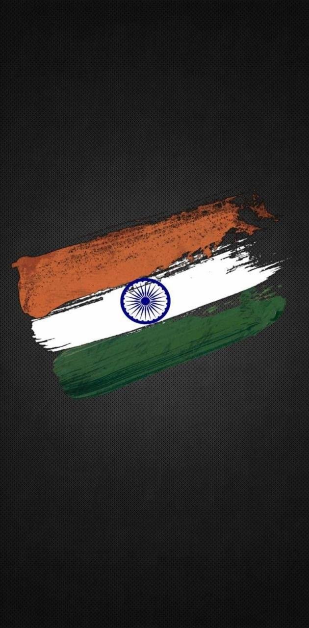 Aesthetic Indian flag