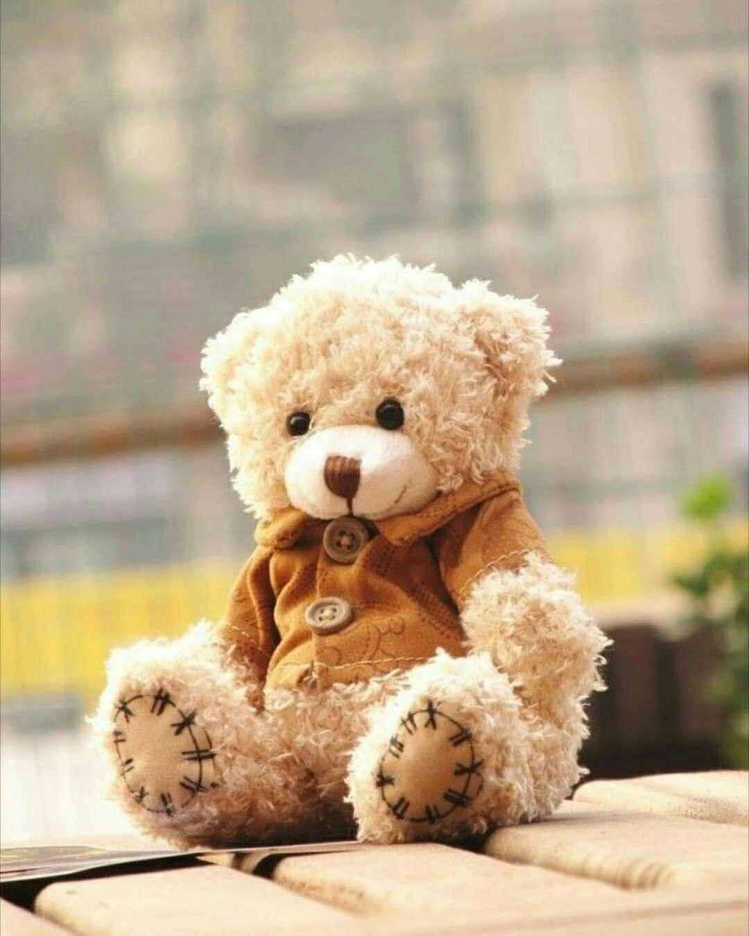 Teddy Bear | Teddy | Bear