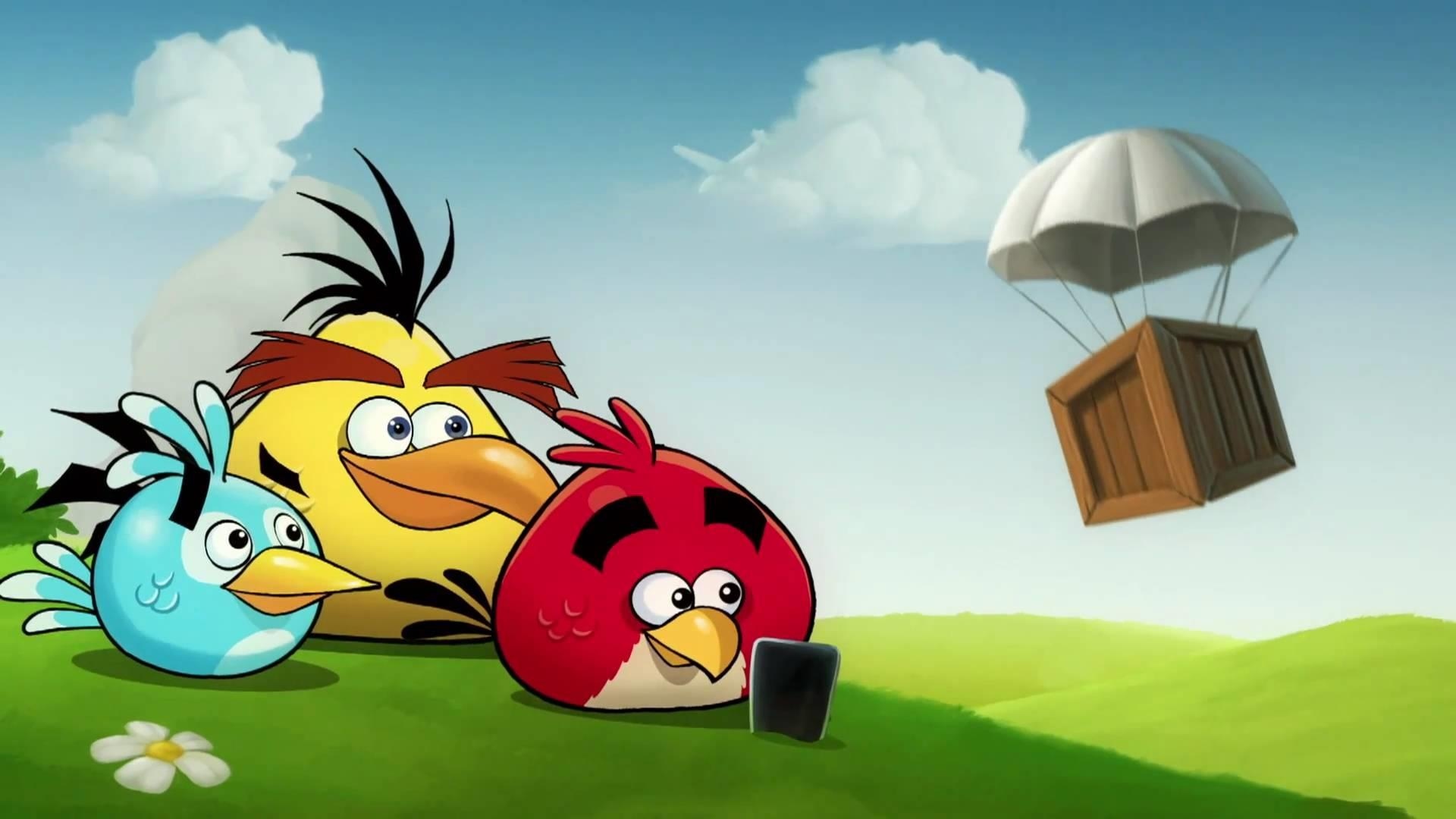 Angry Birds - Birds - Painting