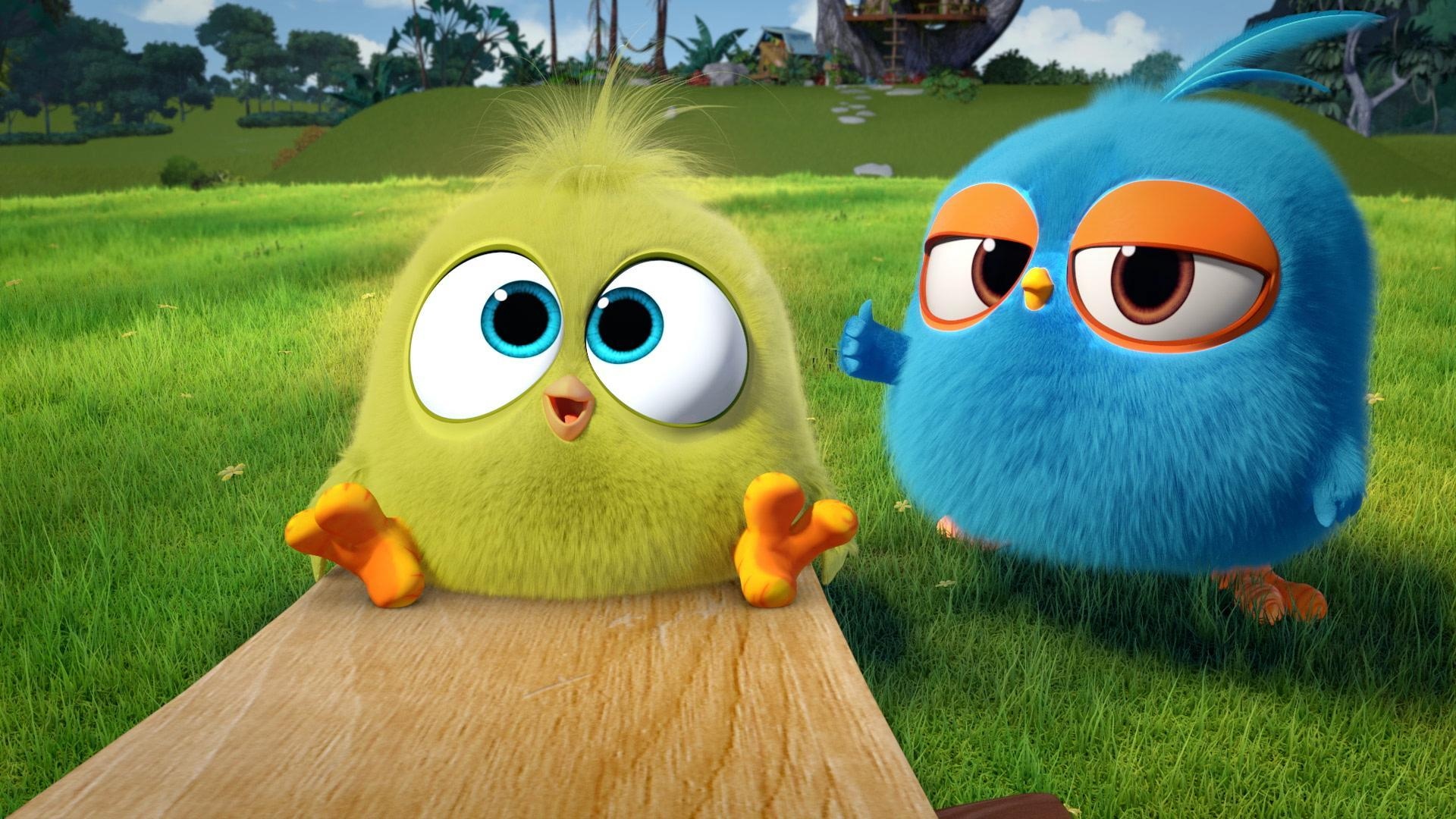 Angry Birds - Big Eyes - Little Birds