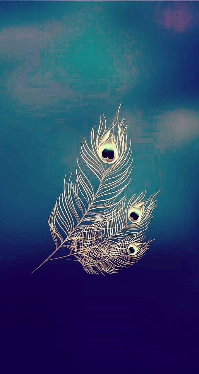 Lord Krishna Peacock White Feather