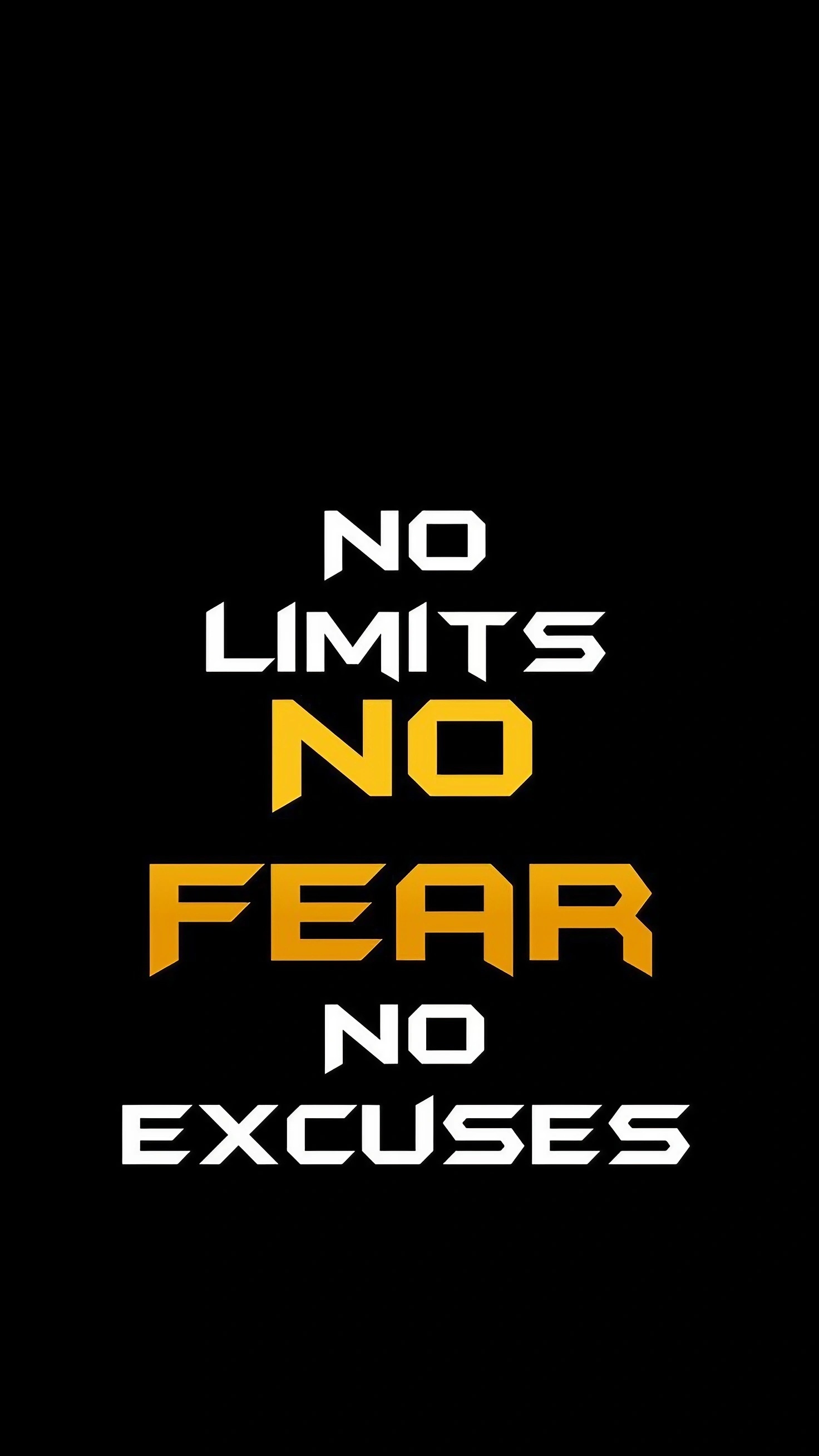 Success Motivation - No Fear No Excuses