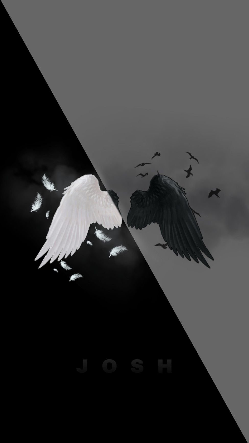 Aesthetic Black And White Wings