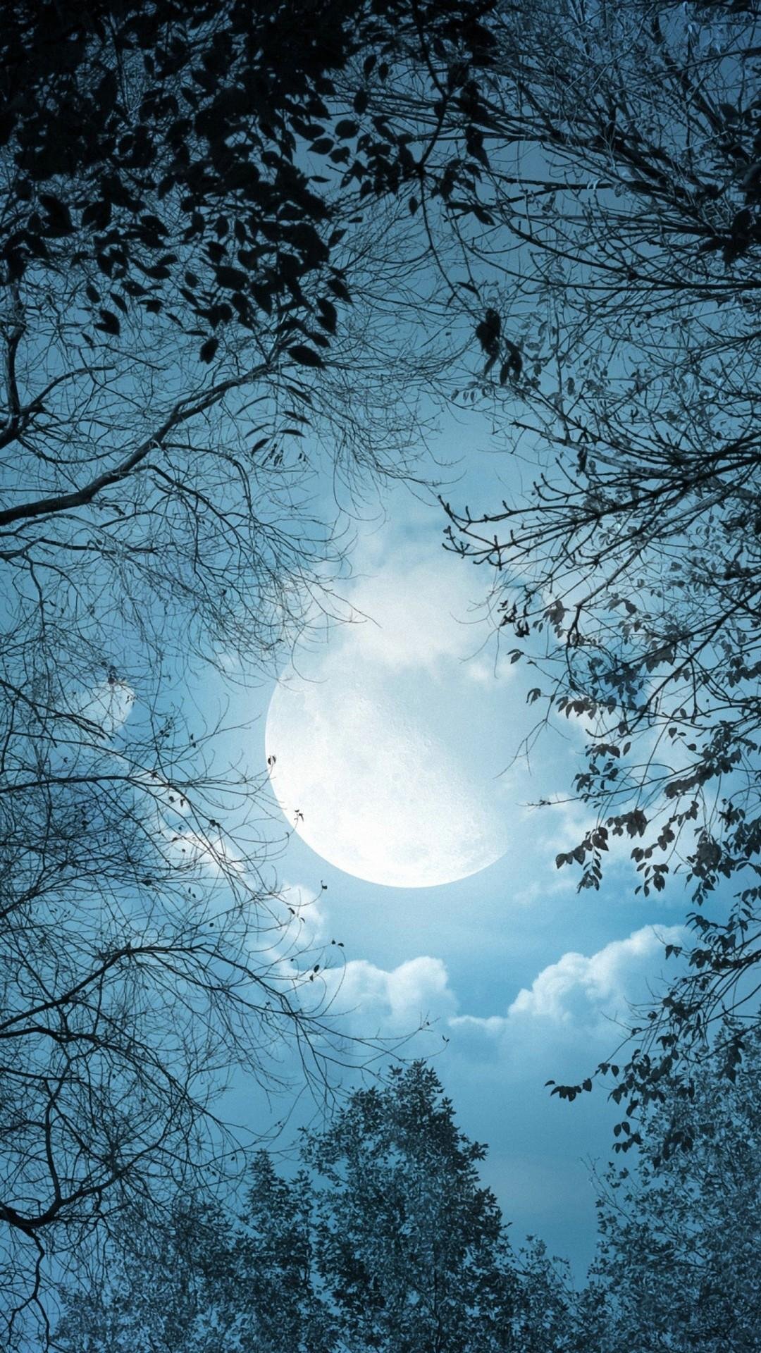 Forest Full Moon