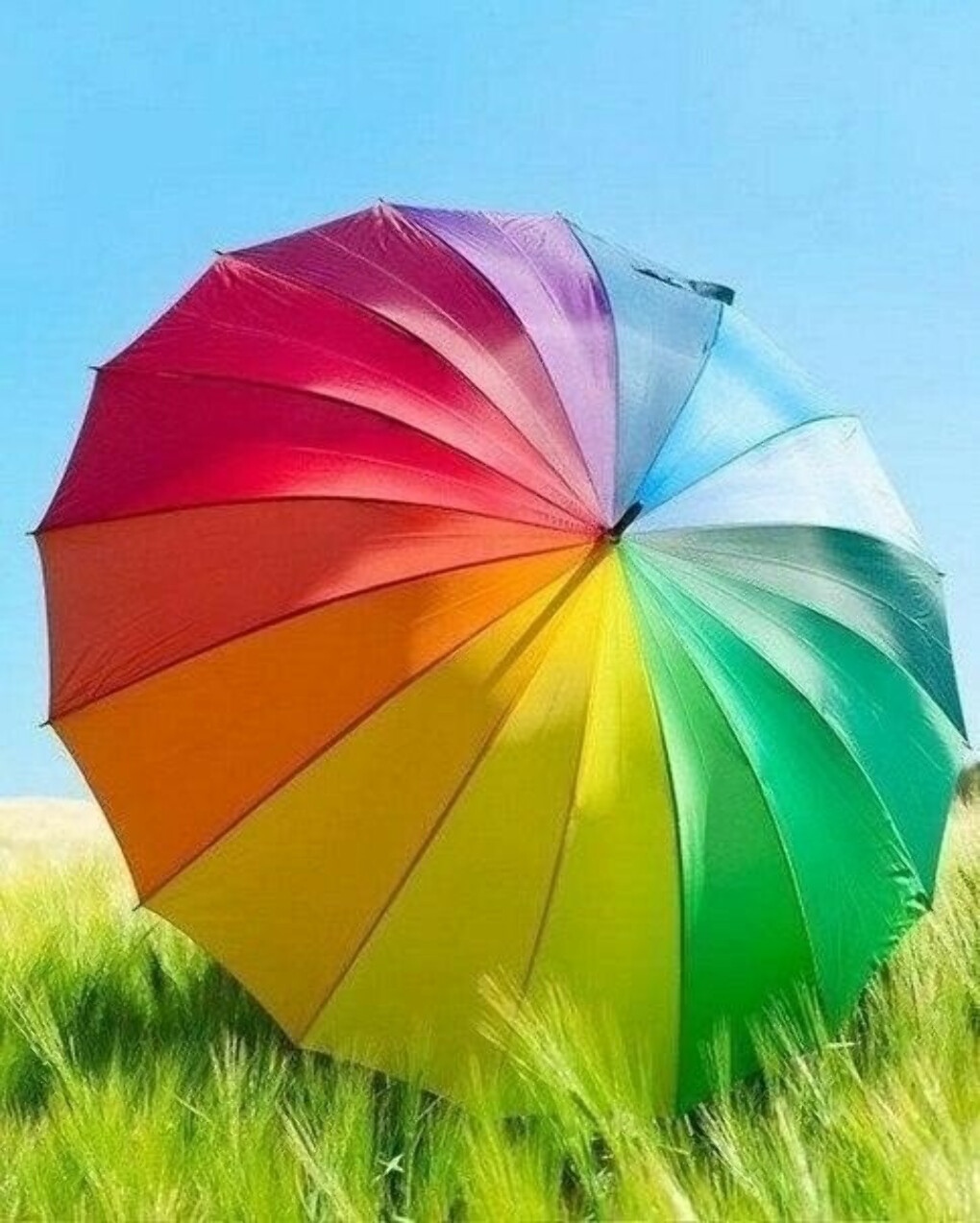 Colour Full | Colour | Full | Umbrella