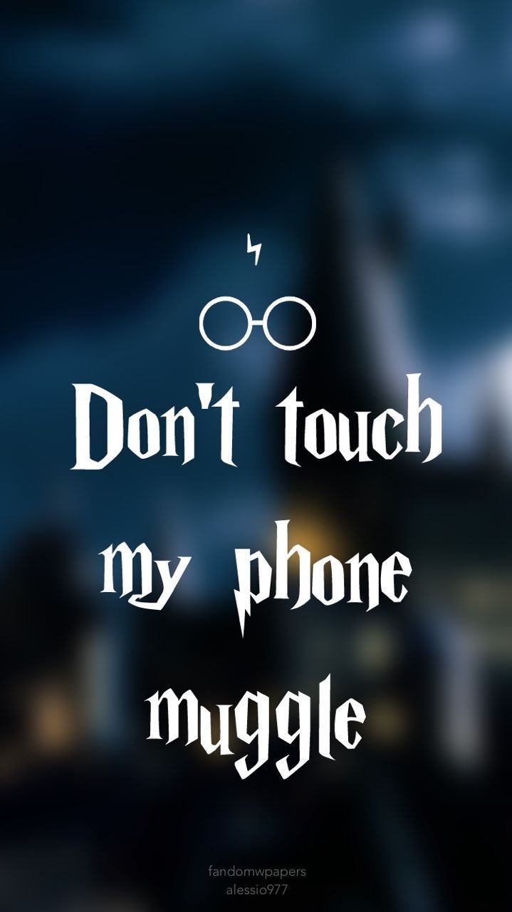 Dont touch my phone muggle