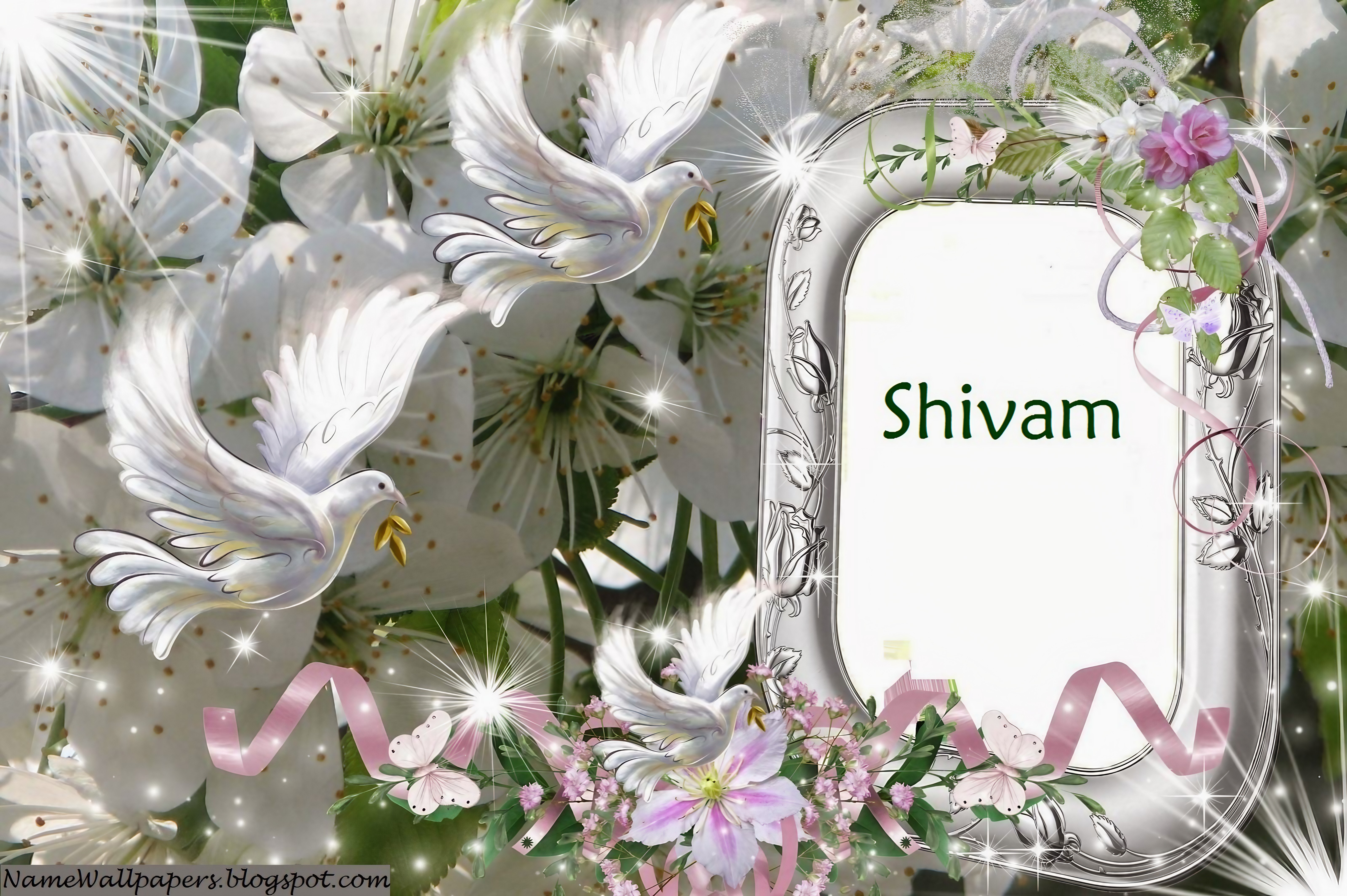 Shivam Naam Ka - flora frame shivam
