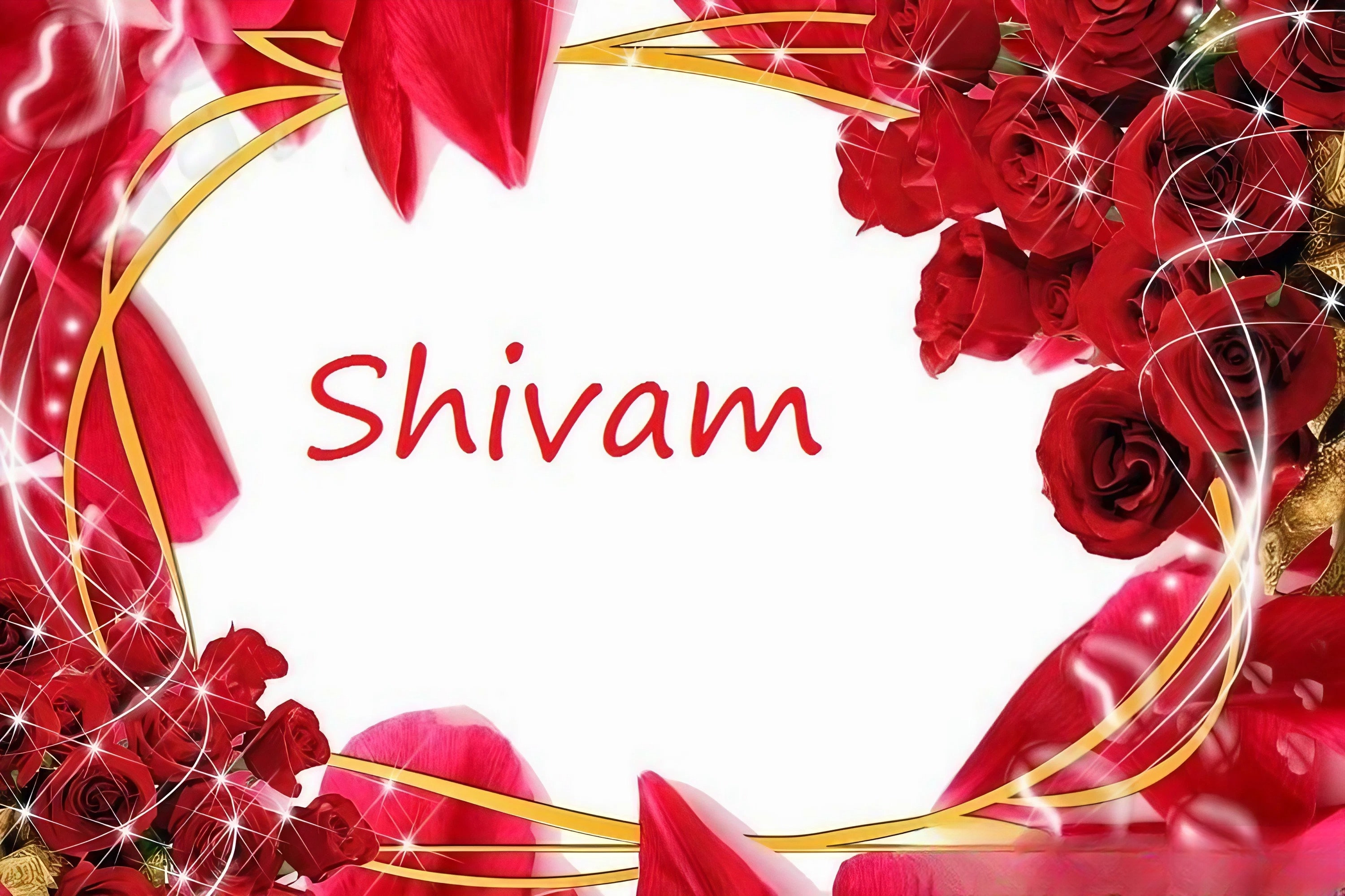 Shivam Naam Ka - rose background