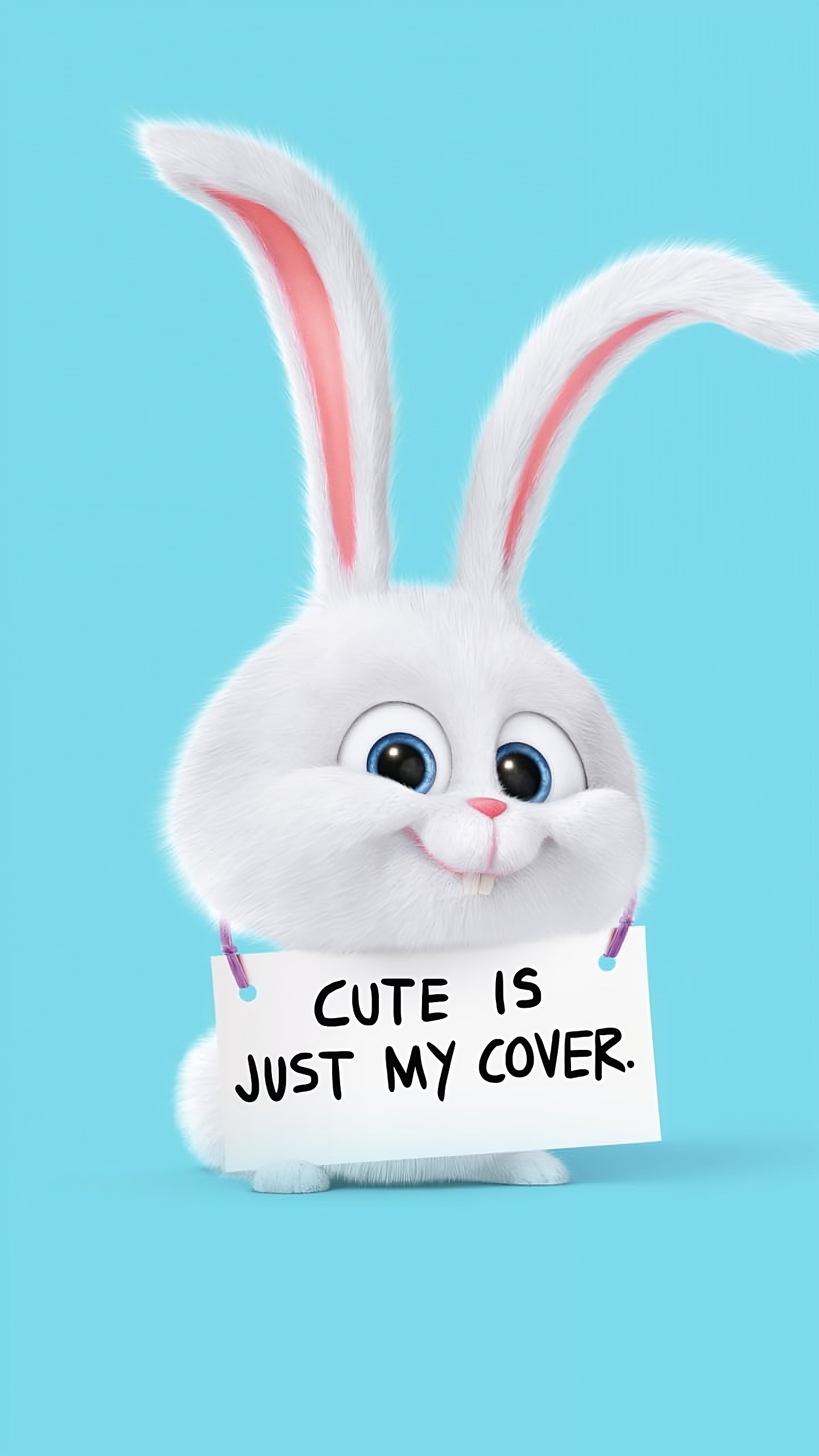 Snowball Rabbit - cute is just my cover
