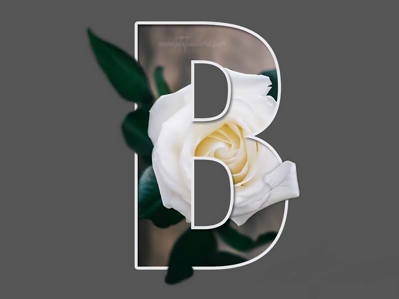 B Name Image - letter b